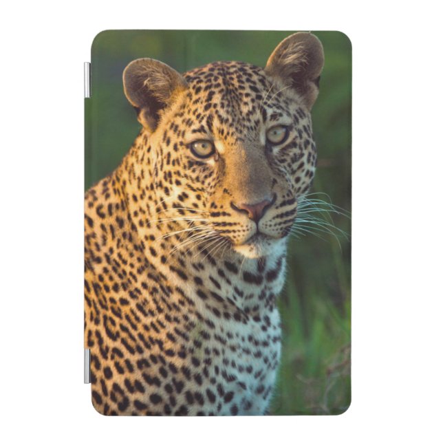 Male Leopard (Panthera Pardus) Full-Grown Cub iPad Mini Cover (Front)