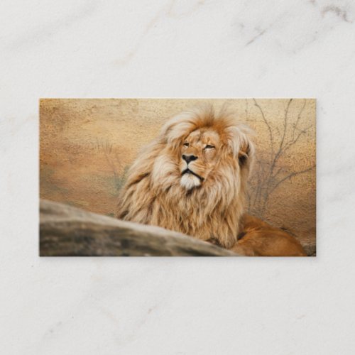 Male Lion Business Card