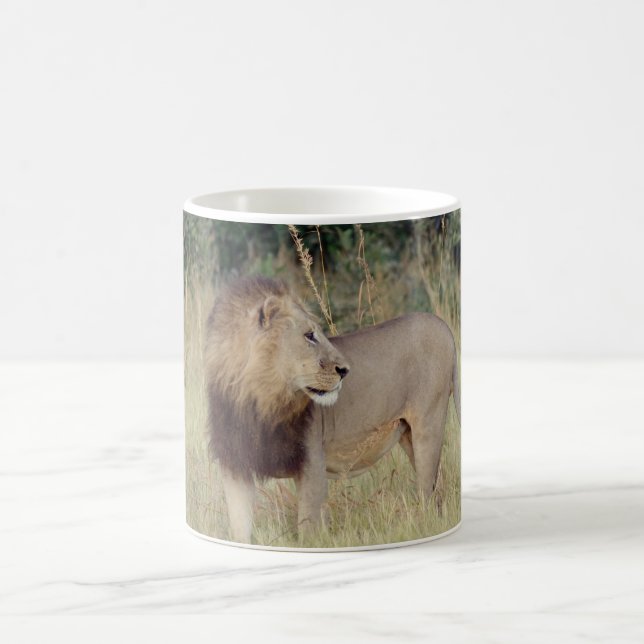 MALE LION COFFEE MUG (Center)