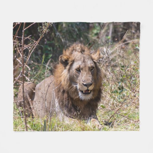 Male Lion Fleece Blanket