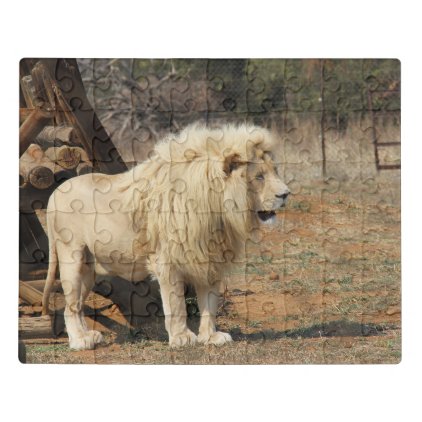 Male Lion Jigsaw Puzzle