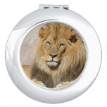 Male Lion Makeup Mirror