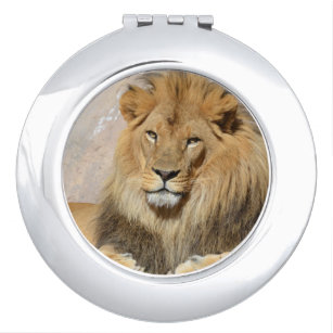 cat is a lion compact mirrors makeup tools zazzle zazzle