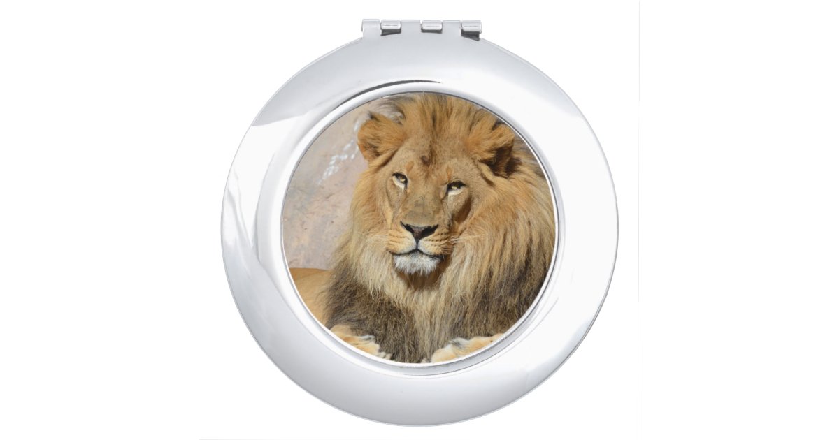 Male Lion Makeup Mirror Zazzle