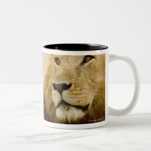 Male lion Panthera leo portrait Masai Mara Two_Tone Coffee Mug