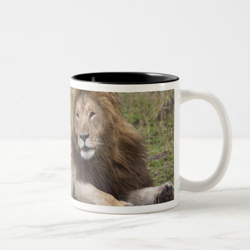 Male Lion Panthera leo resting with cub Two_Tone Coffee Mug