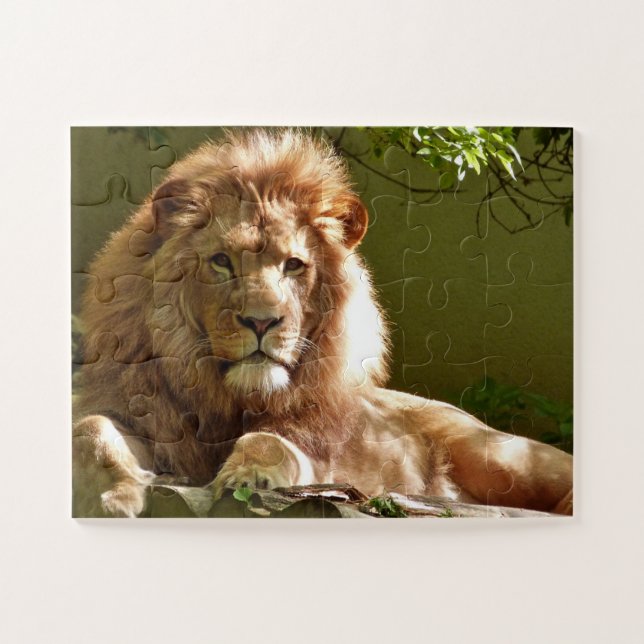 MALE LION PHOTOGRAPHY PUZZLES (Horizontal)