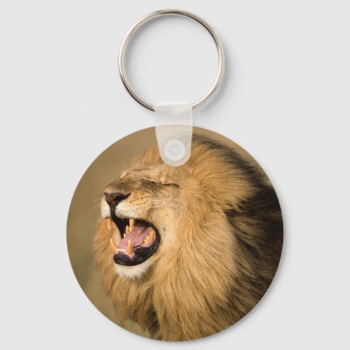 Male Lion Roaring Keychain