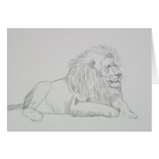 Male Lion Sketch (Front Horizontal)