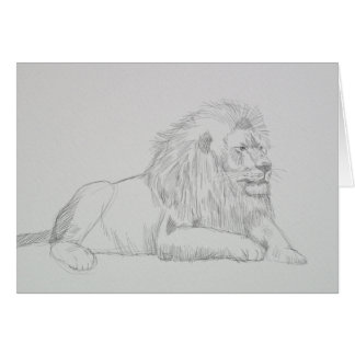 Male Lion Sketch Cards