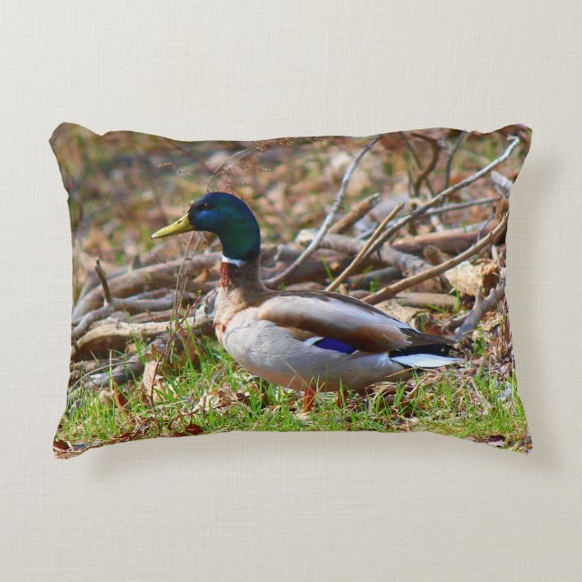 Male Mallard Duck Accent Pillow (Front)