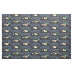 Male Mallard Duck Fabric