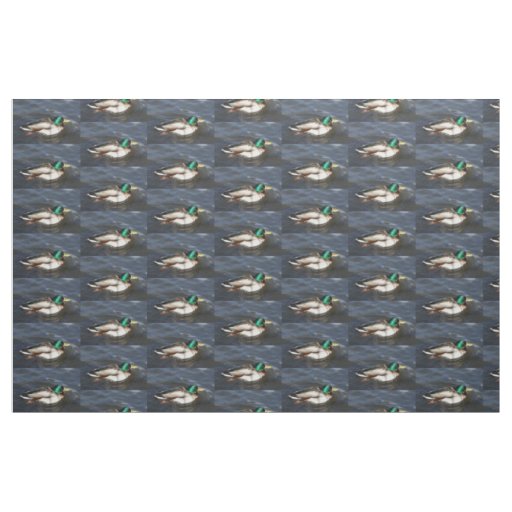 Male Mallard Duck Fabric