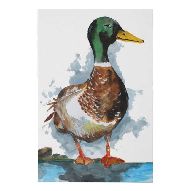 Male Mallard Duck Faux Canvas Print (Front)