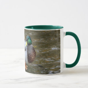 Male Mallard Duck in Clear Creek Mug