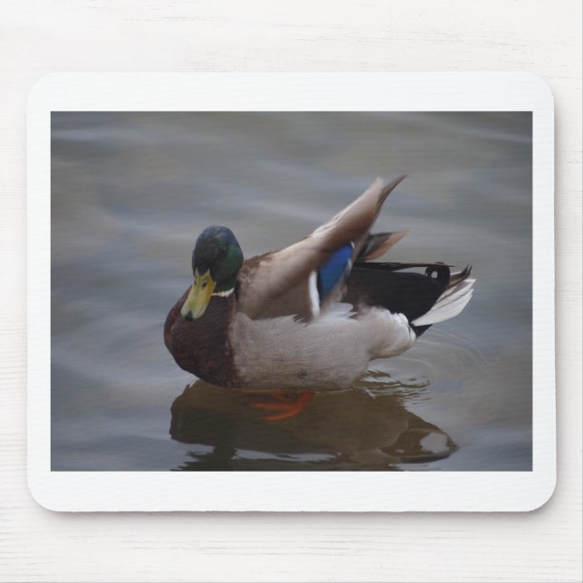 Male Mallard Duck Mouse Pad (Front)