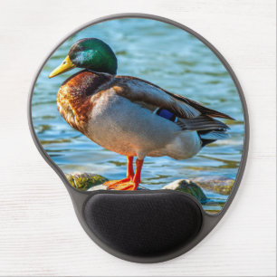 Male Mallard Duck Perched on Lakeside Stones Gel Mouse Pad