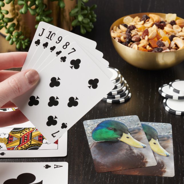 Male Mallard Duck Photo Poker Cards (In Situ)