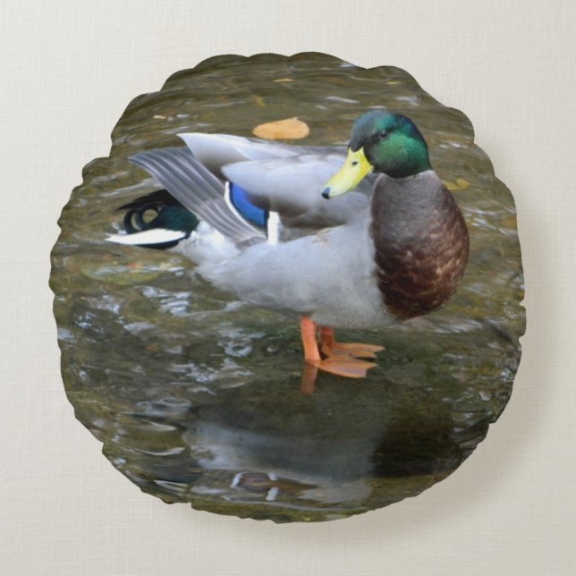 Male Mallard Duck Round Pillow (Front)
