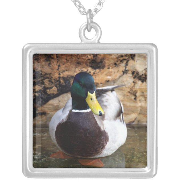 Male Mallard Duck Silver Plated Necklace (Front)