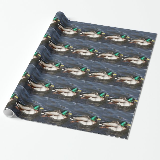 Male Mallard Duck Wrapping Paper (Unrolled)