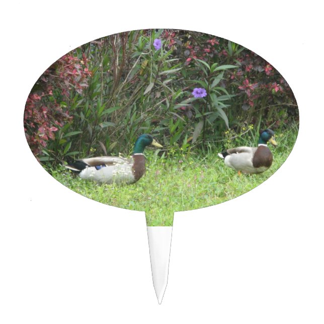 Male Mallard Ducks Cake Pick (Front)