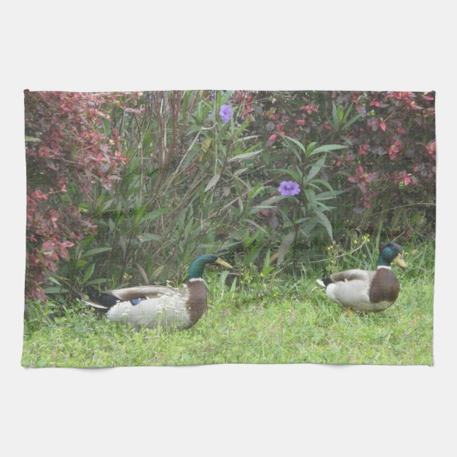 Male Mallard Ducks Kitchen Towels (Horizontal)