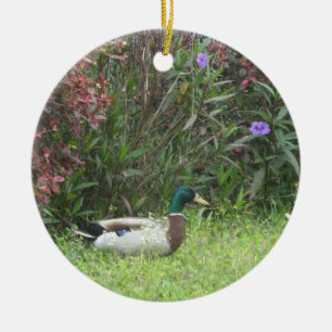 Male Mallard Ducks Ornament