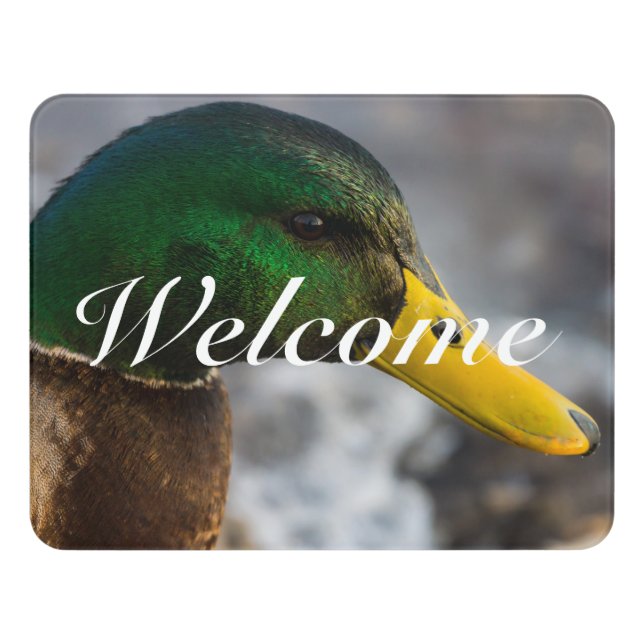 Male Mallard Portrait Welcome Door Sign (Contemporary Front)
