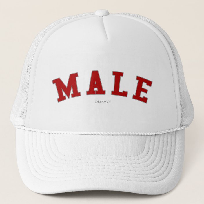Male Mesh Hat