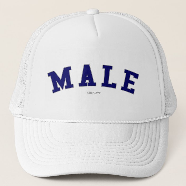 Male Mesh Hat