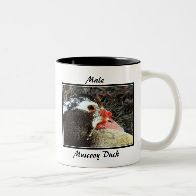 Male Muscovy Duck Two-Tone Coffee Mug (Right)