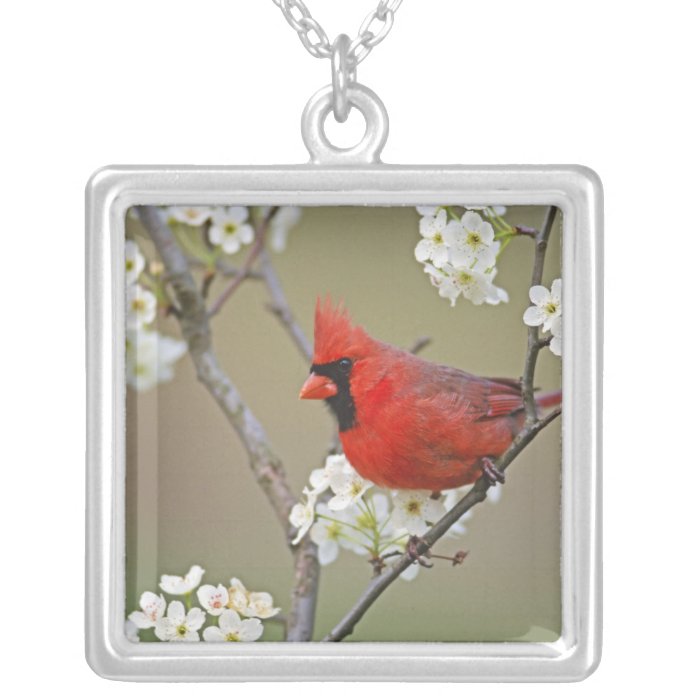 Male Northern Cardinal among pear tree Jewelry