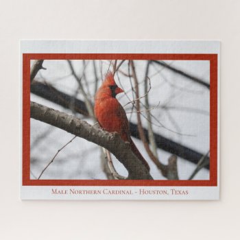 Male Northern Cardinal; Bird Lover's  Jigsaw Puzzle by PicturesByDesign at Zazzle