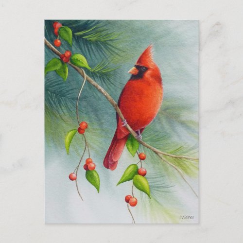 Male Northern Cardinal Bird Watercolor Art Postcard