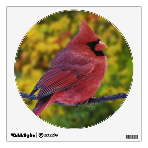 Male Northern Cardinal in autumn Cardinalis Wall Sticker