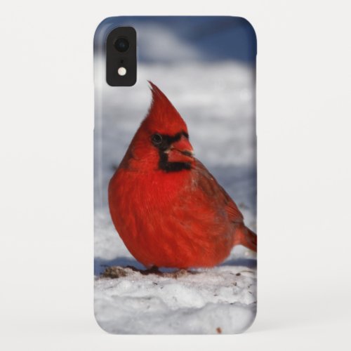 Male Northern Cardinal in the Snow iPhone XR Case