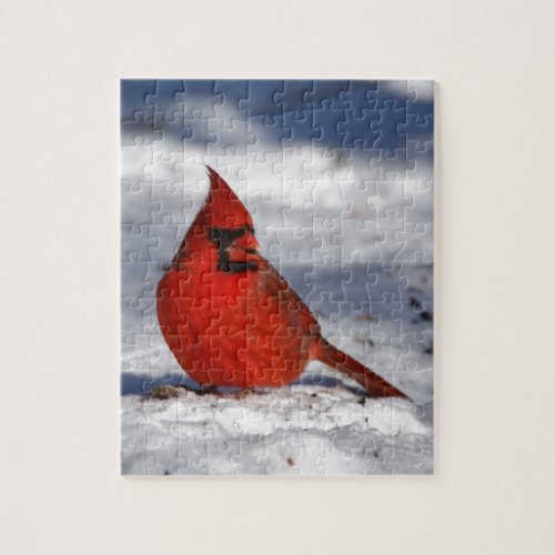 Male Northern Cardinal in the Snow Jigsaw Puzzle