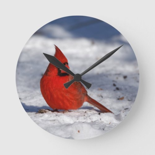 Male Northern Cardinal in the Snow Round Clock