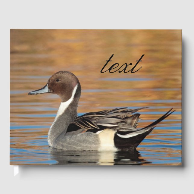 Male Northern Pintail Guest Book (Front)