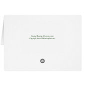 Male Painted Bunting (Back Horizontal)