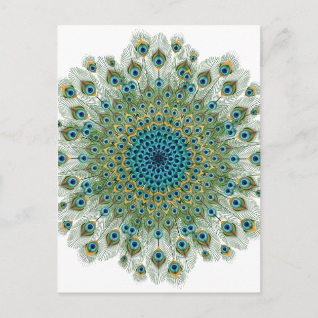 Male Peacock Colorful Mandala Postcard (Front)