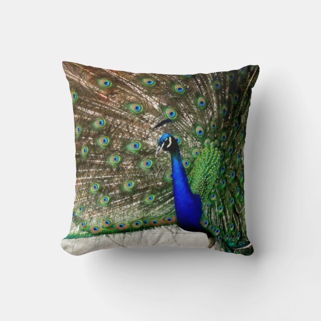 Male Peacock Feather Display Throw Pillow (Front)