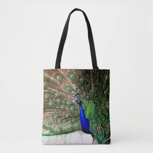 Male Peacock Feather Display Tote Bag