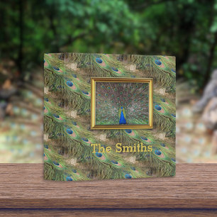 Male Peacock Feather Photo Album 3 Ring Binder