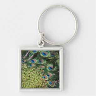 Male peacock (Pavo cristatus) displaying tail Keychain
