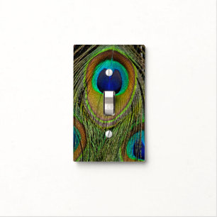 Male peacock tail feathers light switch cover