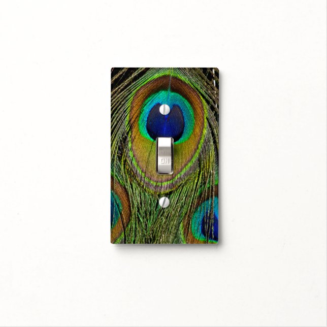 Male peacock tail feathers light switch cover (In Situ)