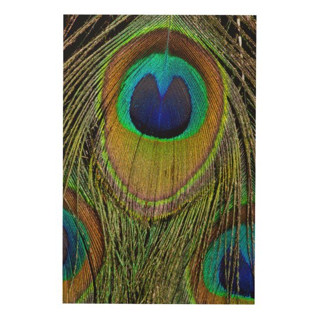 Male peacock tail feathers wood wall decor (Front)
