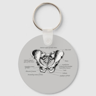 Male Pelvis Details Keychain